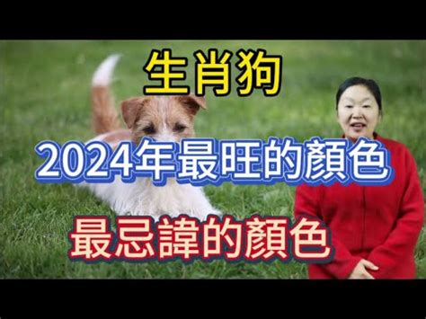 屬狗幸運顏色|【屬狗的幸運顏色】2024年屬狗的幸運顏色是什麼？。